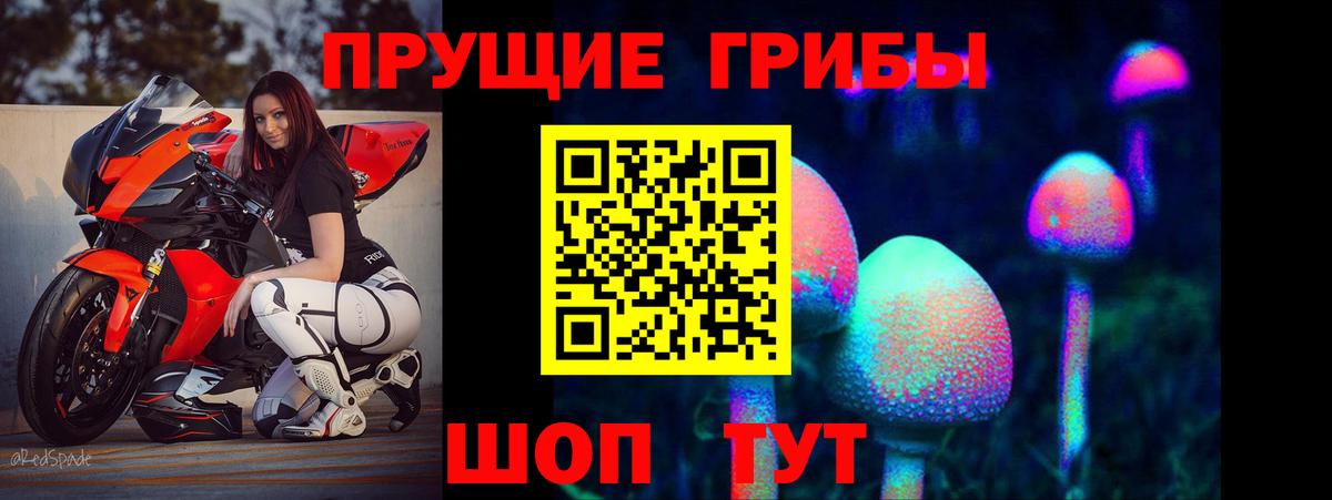 Галлюциногенные грибы Psilocybine cubensis Топки
